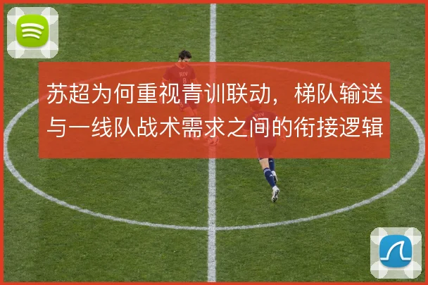 苏超为何重视青训联动，梯队输送与一线队战术需求之间的衔接逻辑